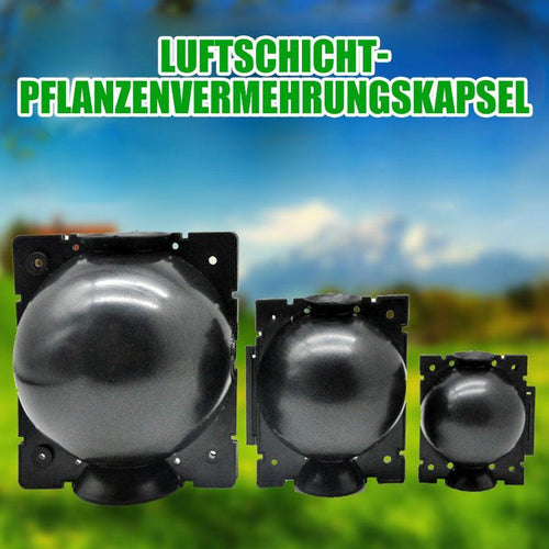 Luftschicht-Pflanzenvermehrungskapsel