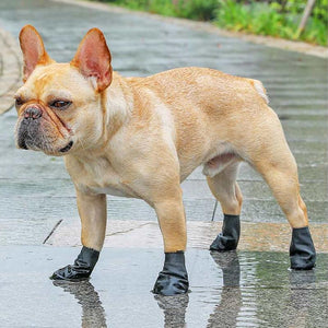 Haustier Regenstiefel