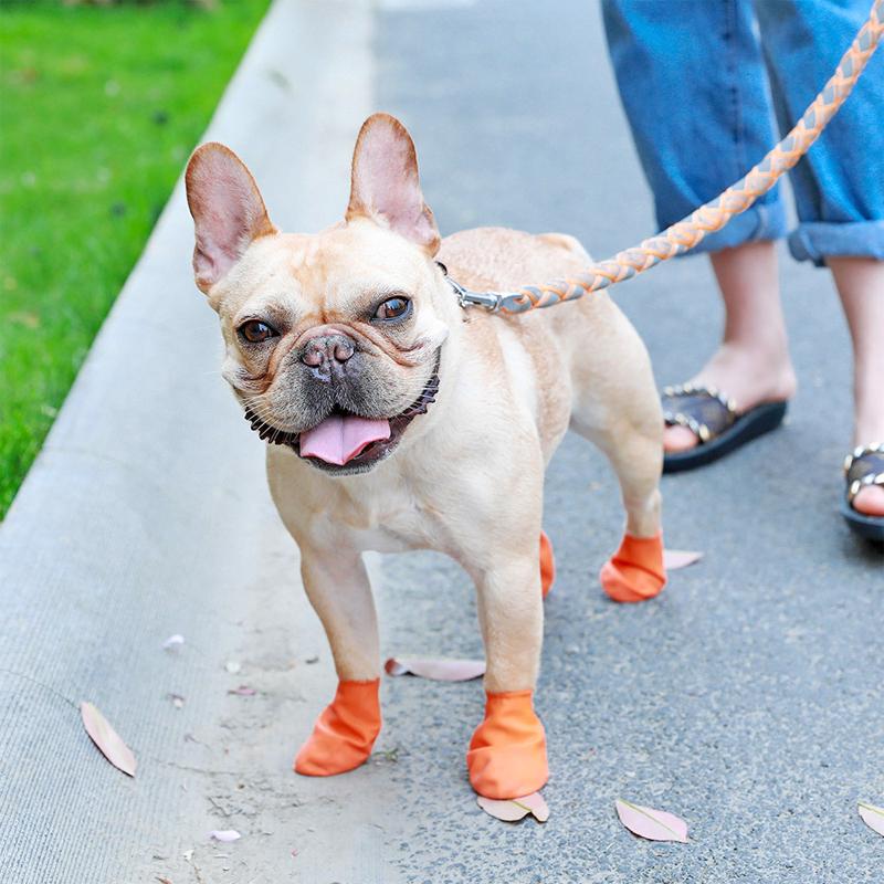 Haustier Regenstiefel